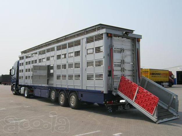 Перевозки скота - свиней, коров и др